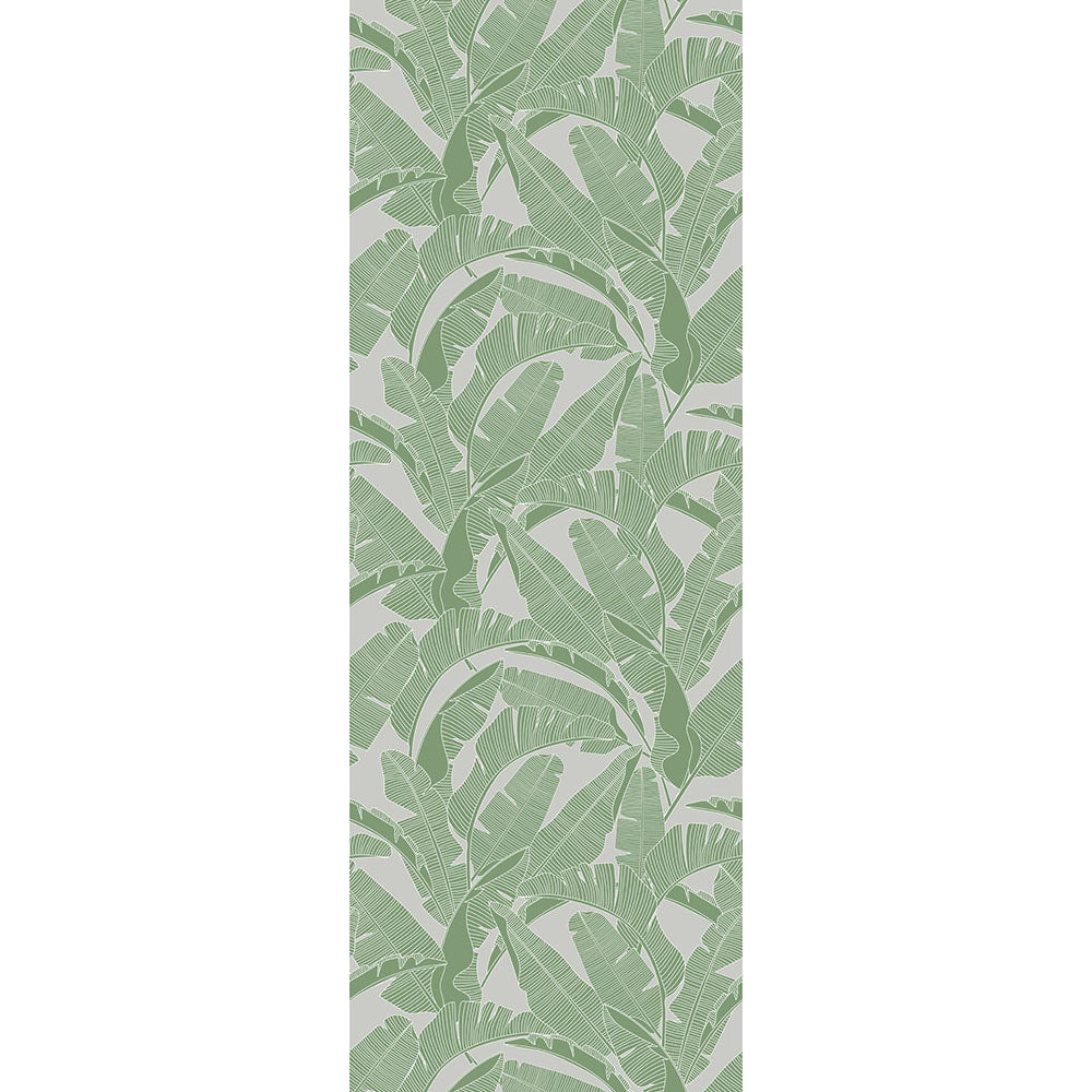CLASSIC big palm leaves colors Wallpaper