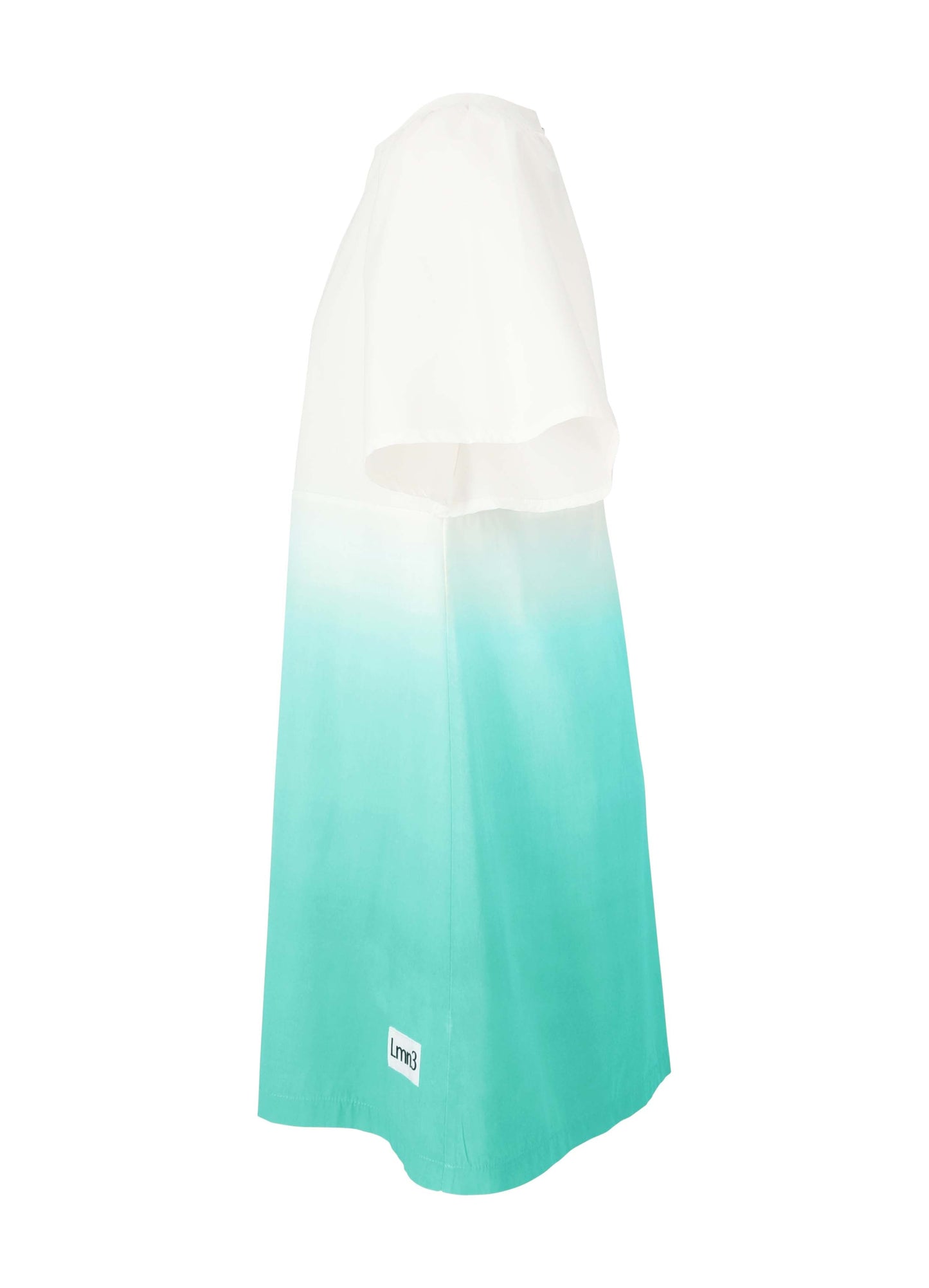 Dress No. 16 - Lush Meadow Dresses LMN3