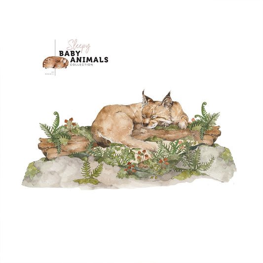 BEHIND THE BED SLEEP MY LITTLE WILD CAT L WALL STICKER