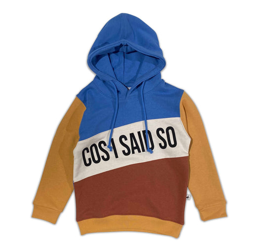 Cos I Said So Color Block Hoodie: Riviera