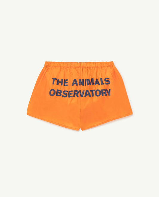 Puppy swimsuit Orange Swimsuits The Animals Observatory