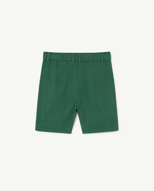 Pig kids shorts Green Shorts The Animals Observatory