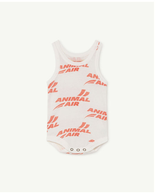 Turtle baby body White Animals Baby Grows The Animals Observatory