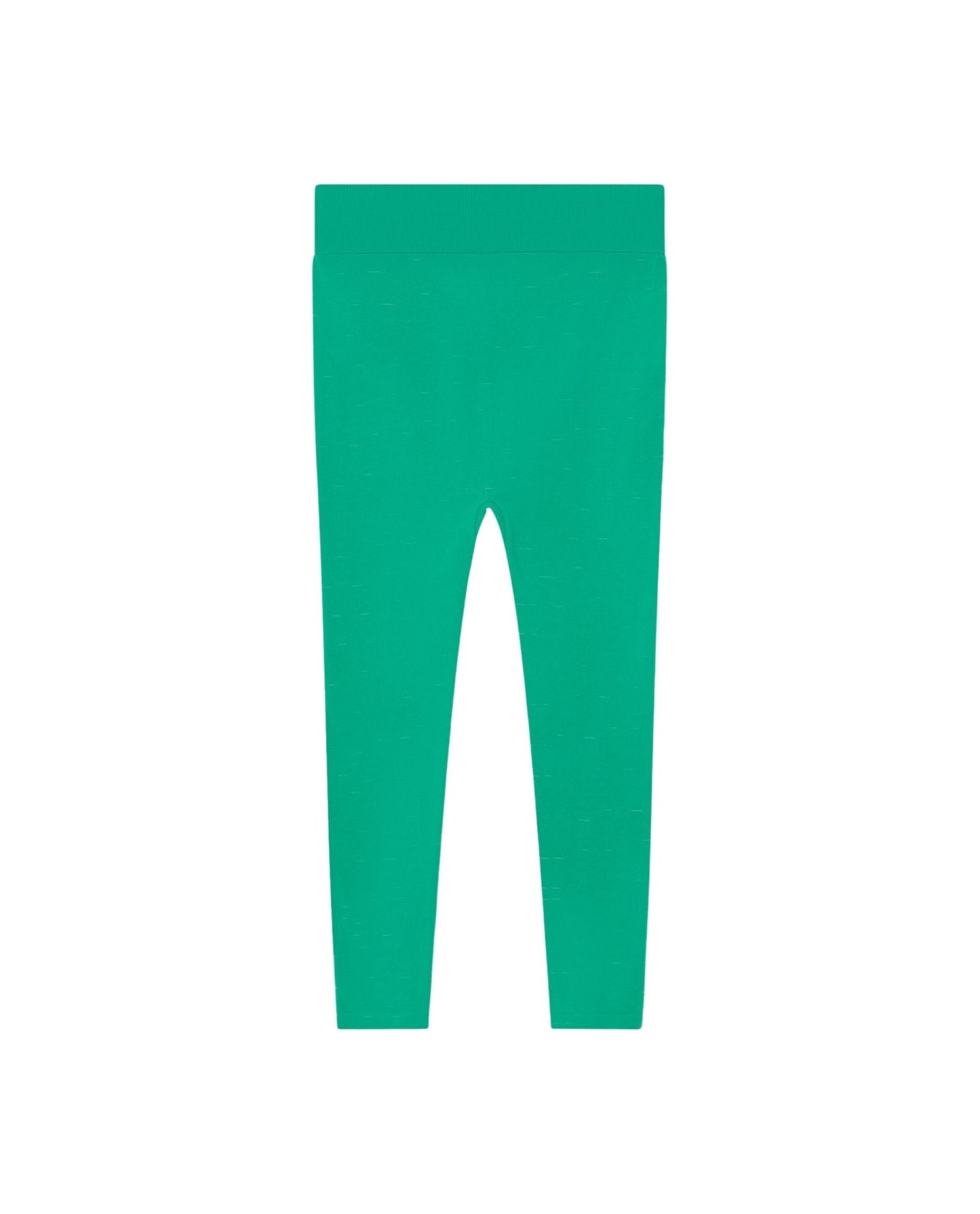 Alligator kids leggings Green Trousers The Animals Observatory