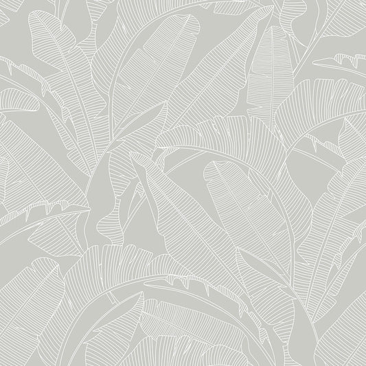 CLASSIC big palm leaves gray Wallpaper