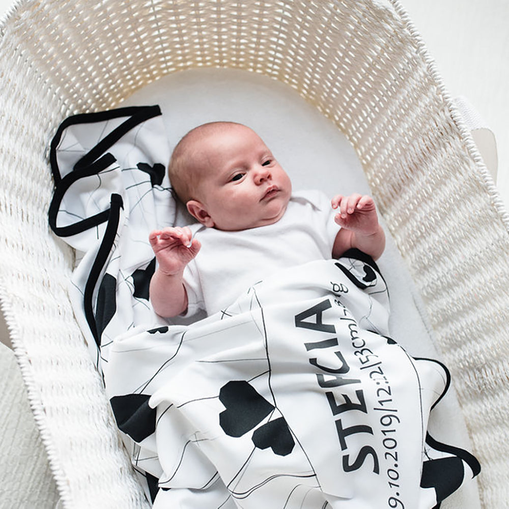 Moses Basket - Paper