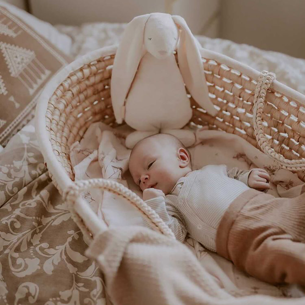 Moses Basket - Grass