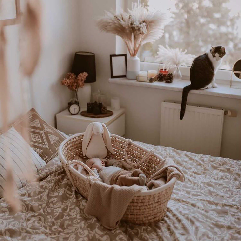 Moses Basket - Grass