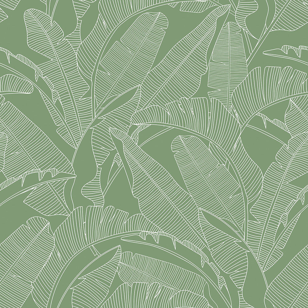 CLASSIC big palm leaves green Wallpaper