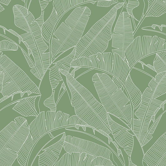CLASSIC big palm leaves green Wallpaper
