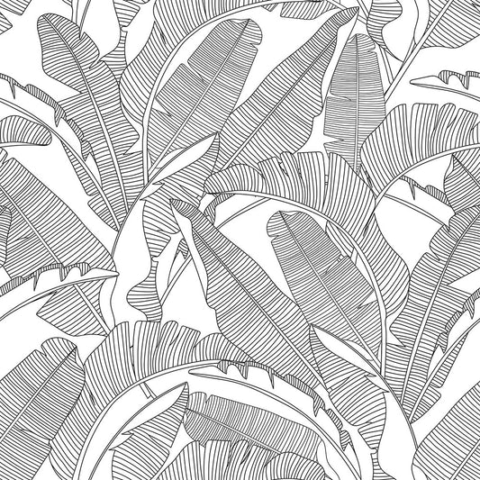 CLASSIC big palm leaves b&w Wallpaper