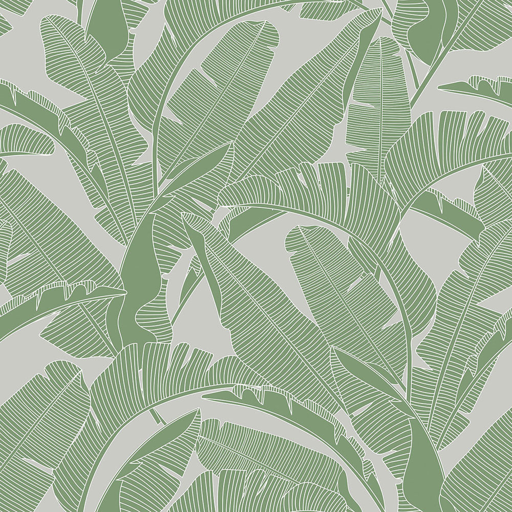 CLASSIC big palm leaves colors Wallpaper