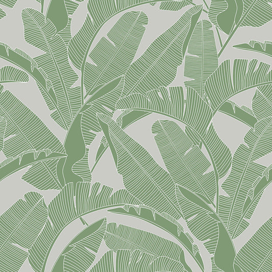 CLASSIC big palm leaves colors Wallpaper