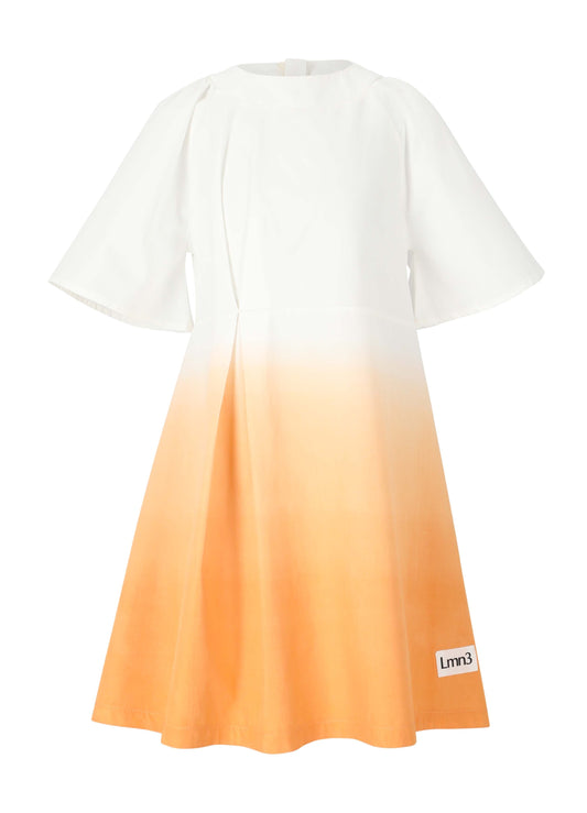 Dress No. 16 - Mango Dresses LMN3 