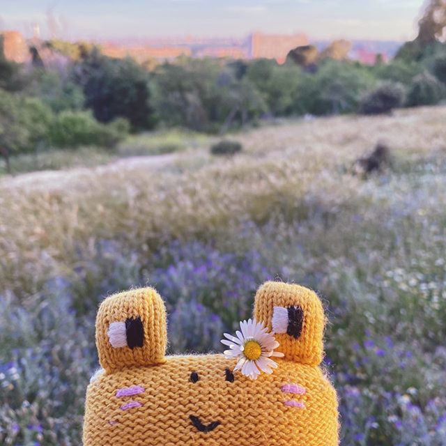 Doro The Golden Poison Frog Cuddly toys Bayíri 