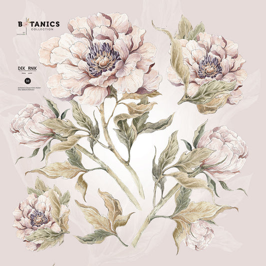 PEONIES WALLSTICKER