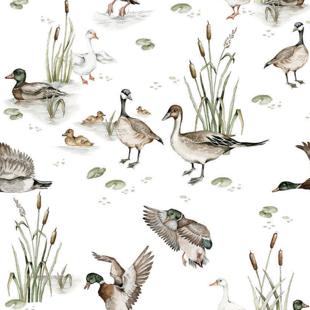 Ducks on the lake Wallpaper