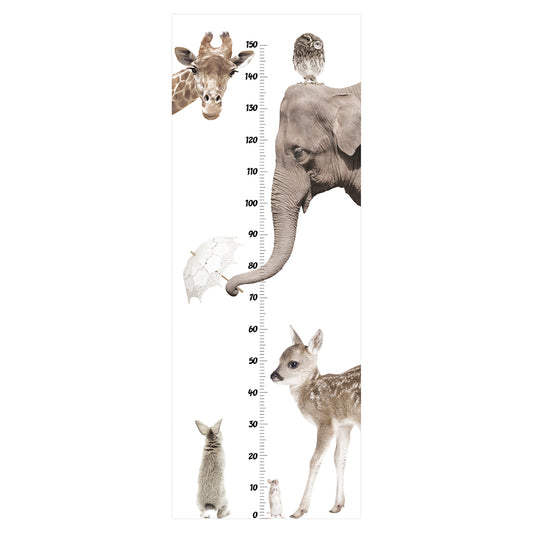 I LOVE ANIMALS growth chart