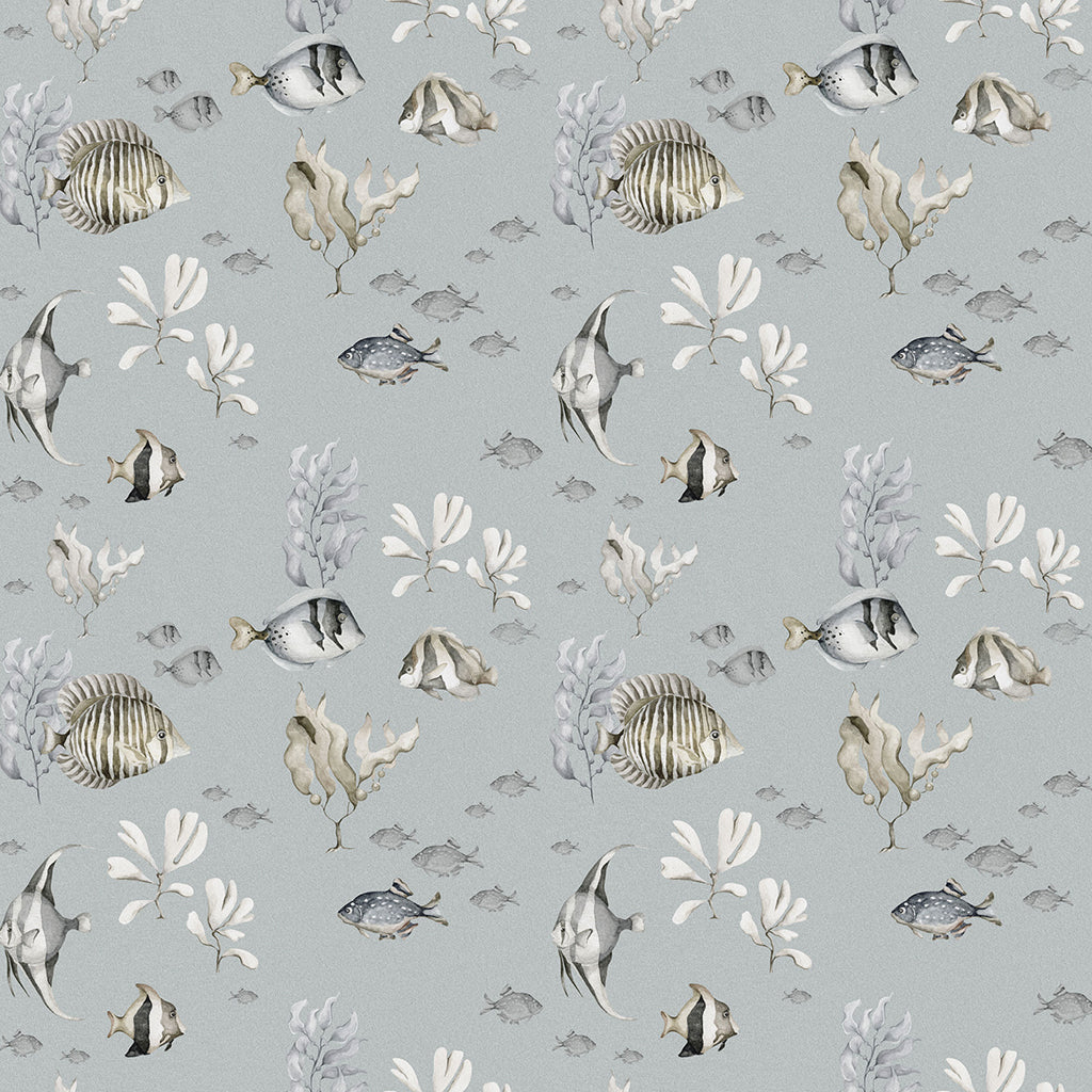 COLOURFUL FISH WALLPAPER