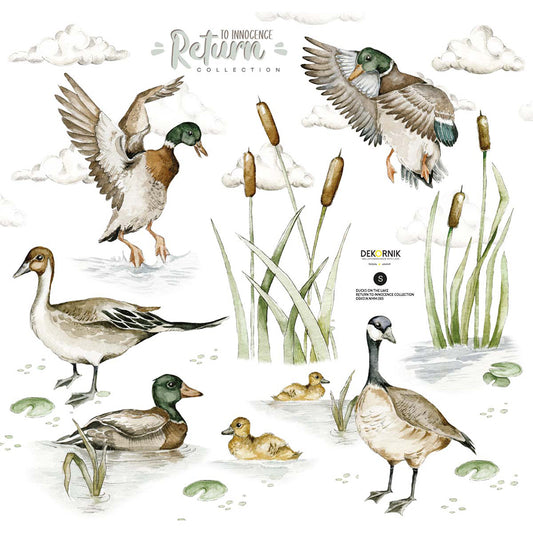Ducks on the lake Wallpaper