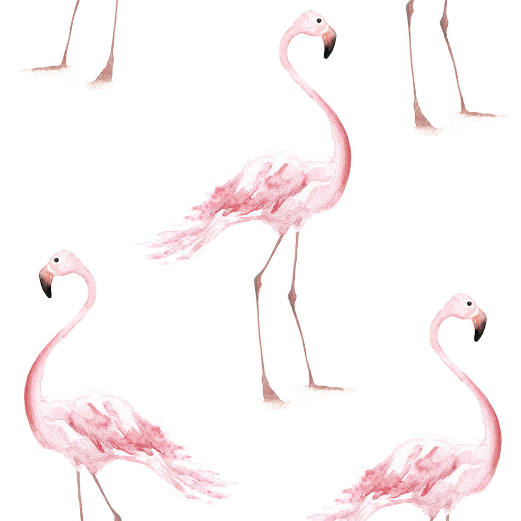 FLAMINGOS WALLPAPER