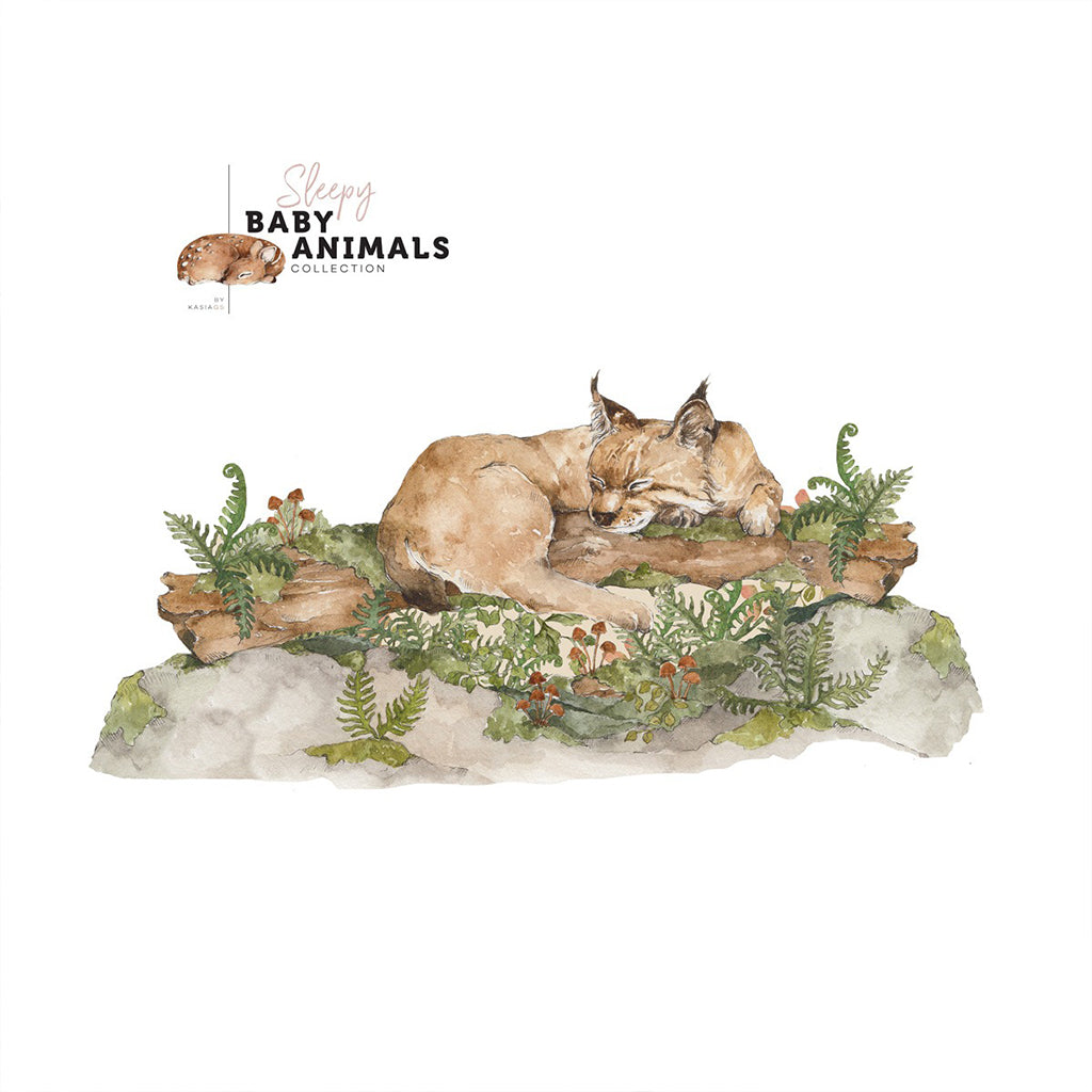 BEHIND THE BED SLEEP MY LITTLE WILD CAT L WALL STICKER