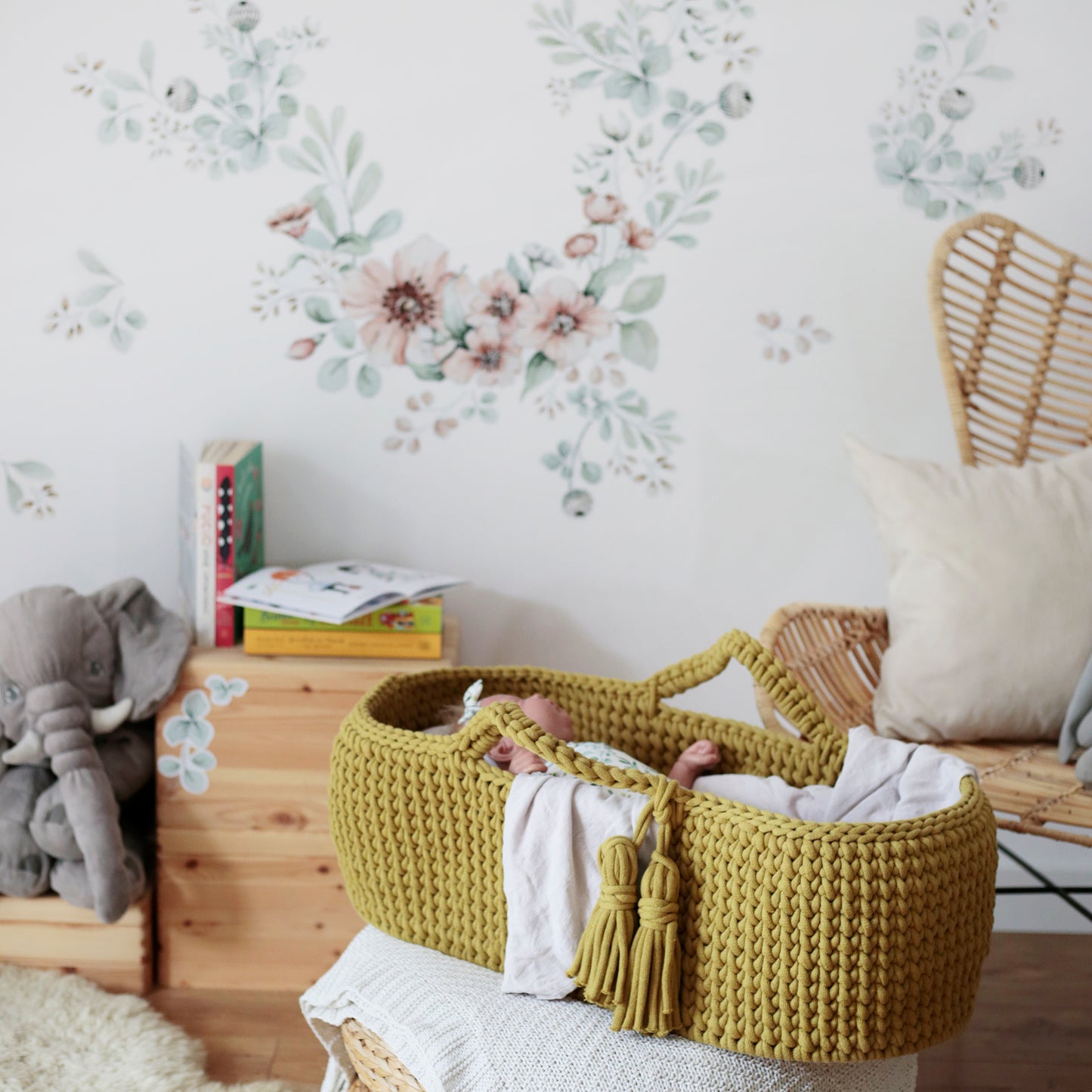 Moses Basket - Kiwi