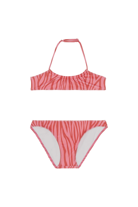 DIVE Paprika Zebra - Bikini