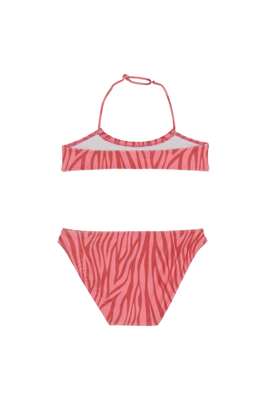 DIVE Paprika Zebra - Bikini