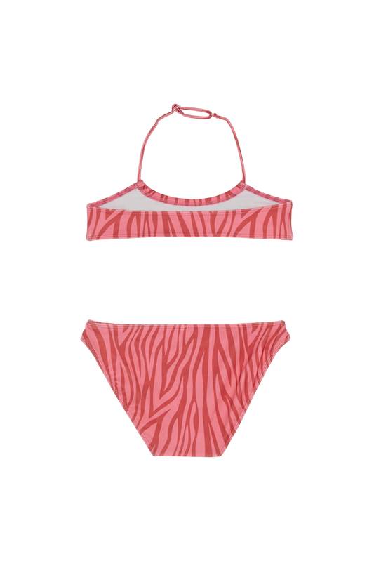 DIVE Paprika Zebra - Bikini | Women