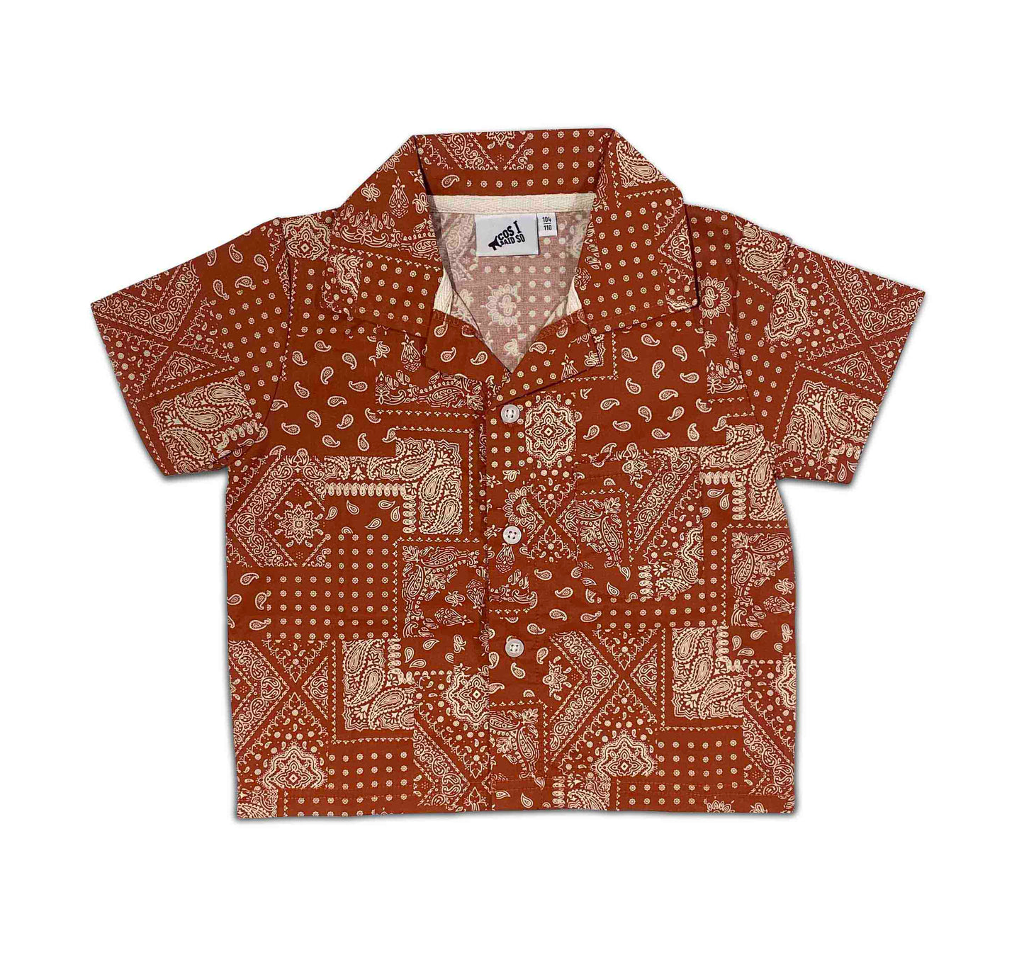 Paisley Shirt