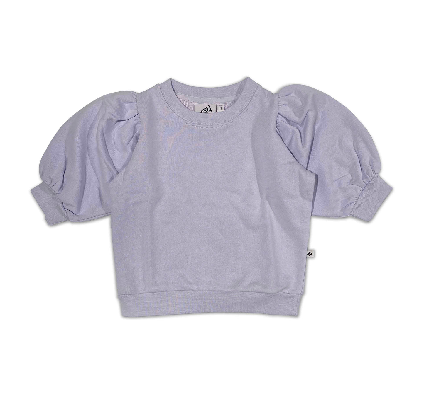 Balloon Sleeve Top