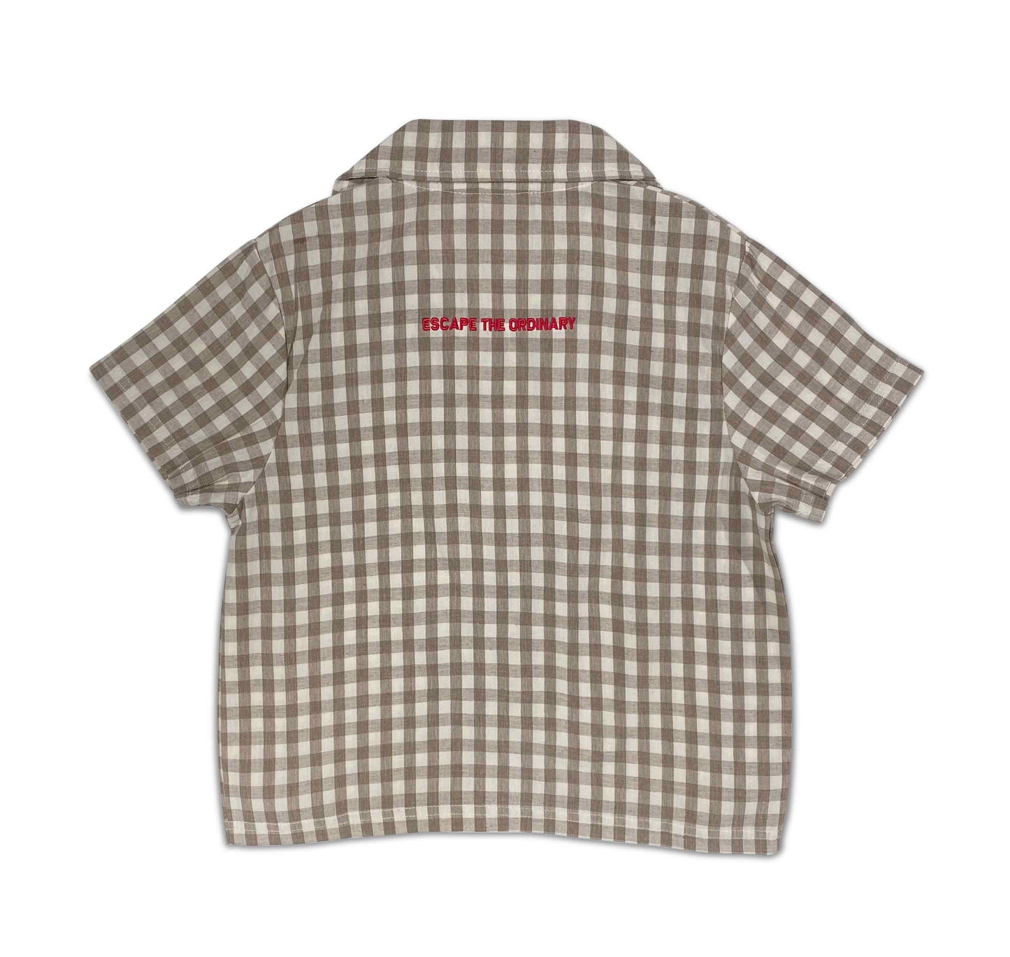 Gingham Shirt
