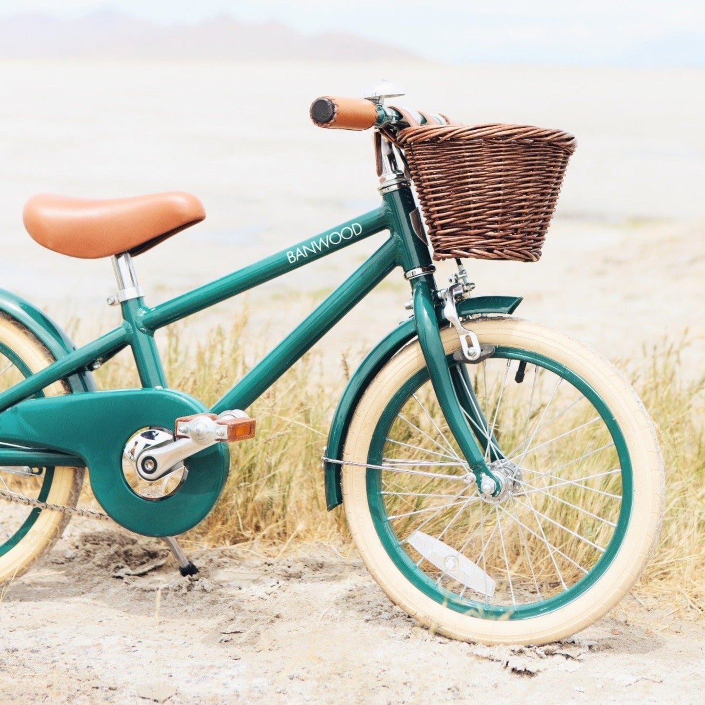 Classic Bicycle Green Bicycle Nofred 
