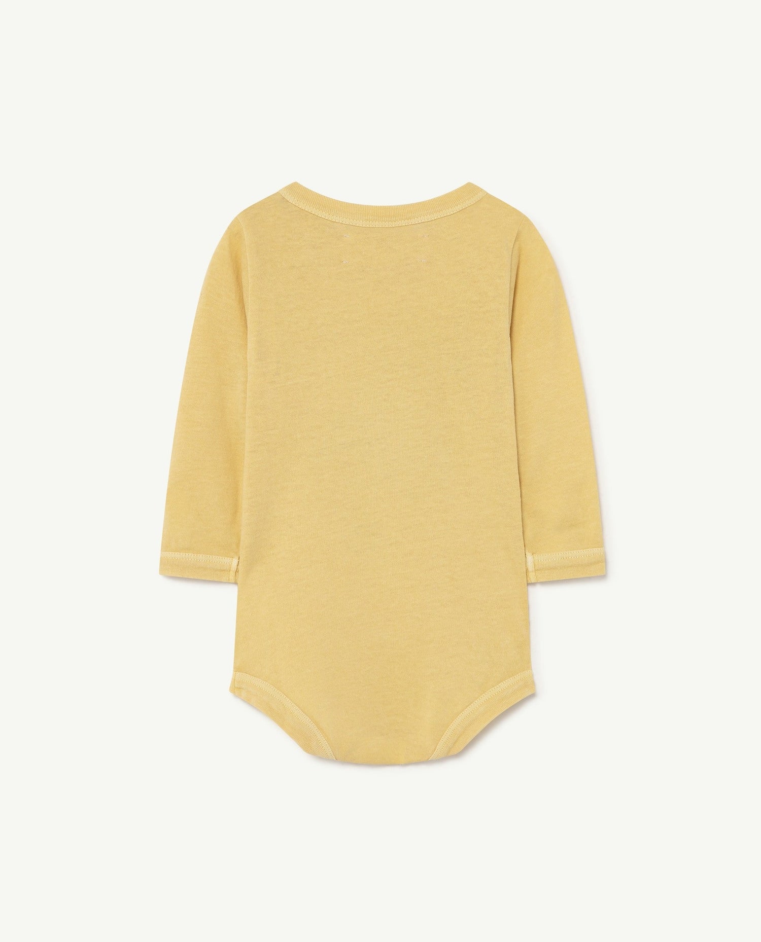 Wasp baby body Yellow animals Baby Grows The Animals Observatory 