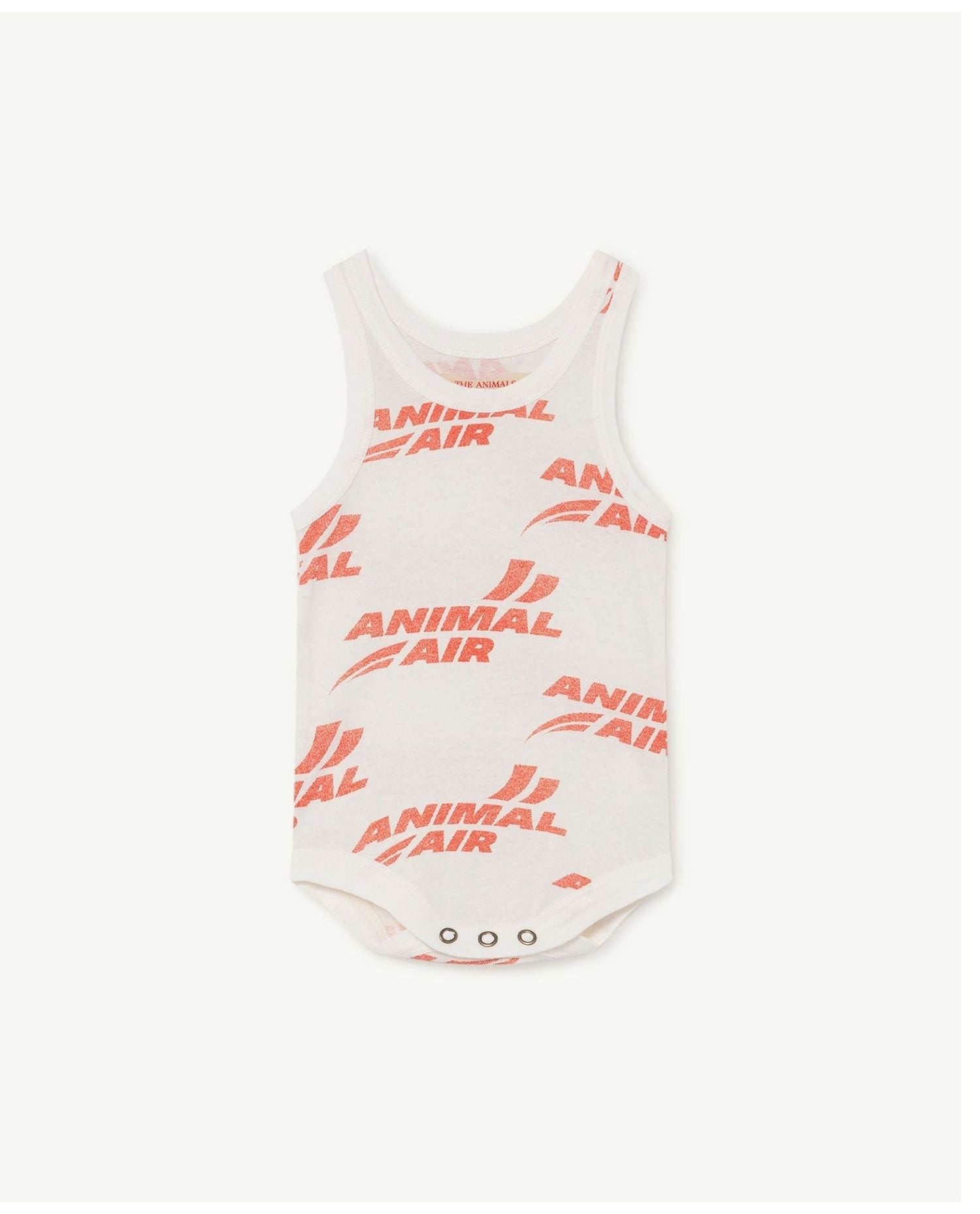 Turtle baby body White Animals Baby Grows The Animals Observatory 