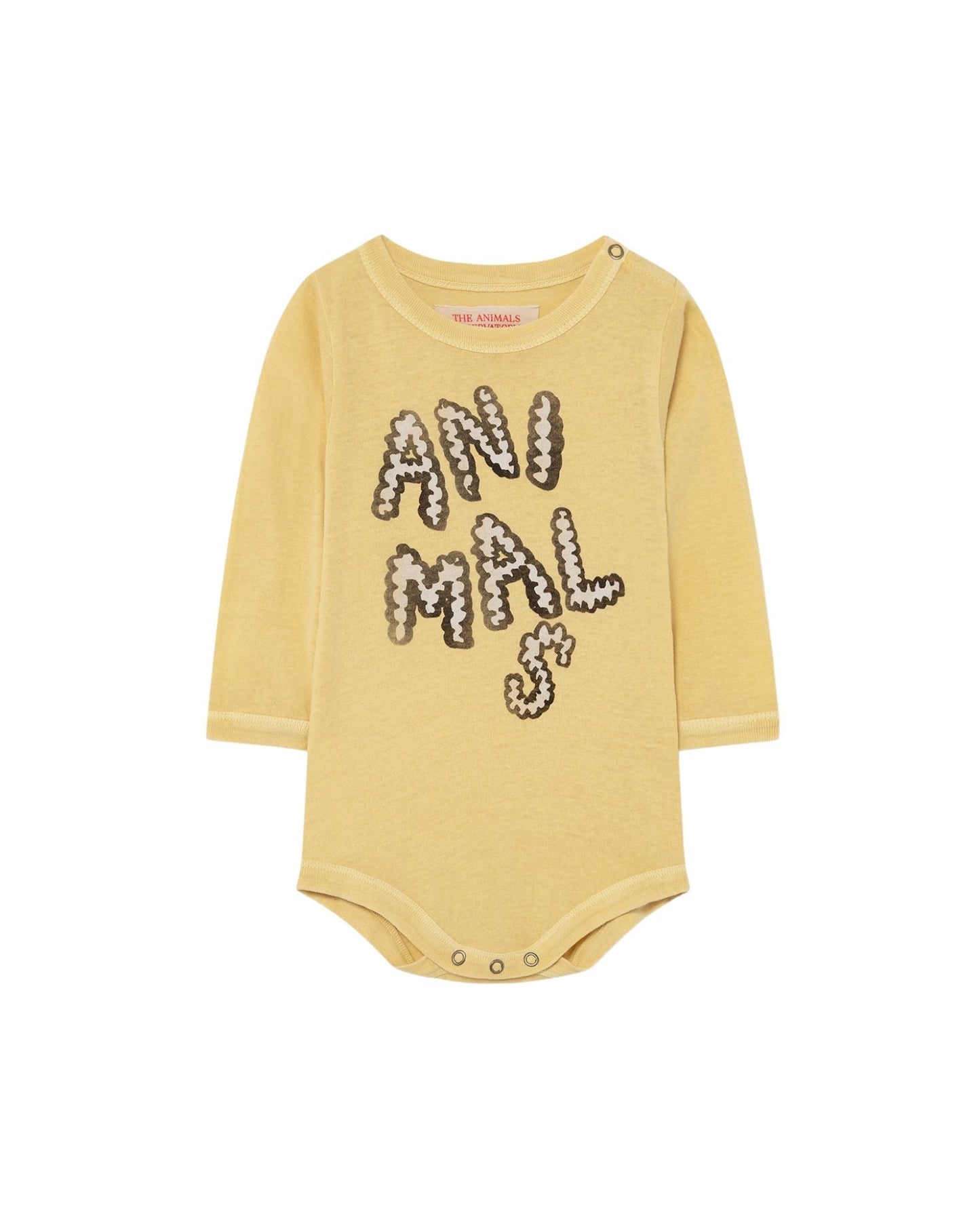 Wasp baby body Yellow animals Baby Grows The Animals Observatory 
