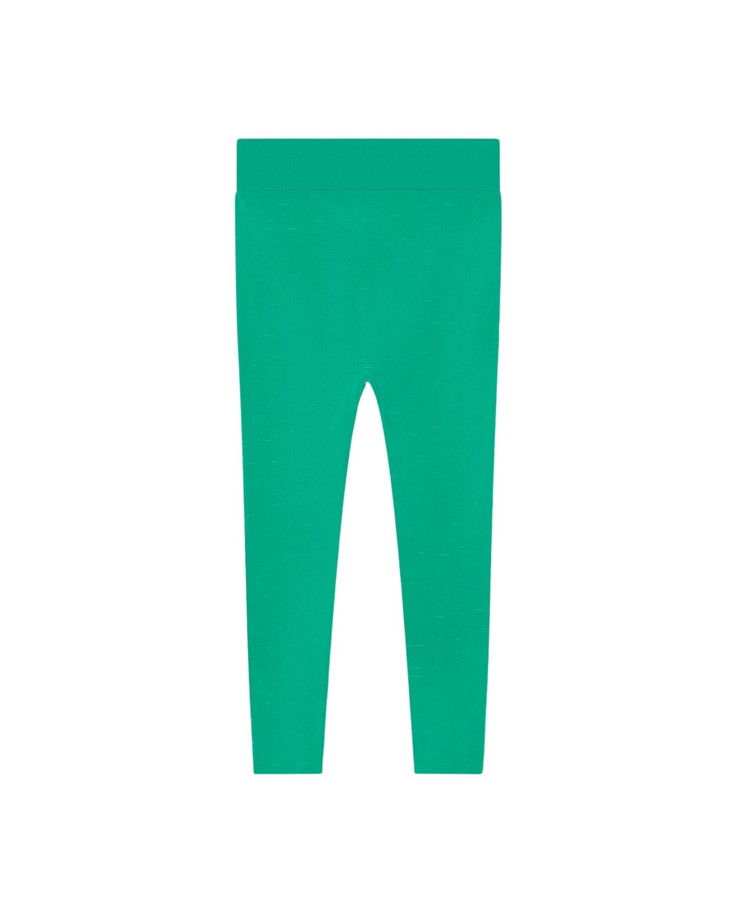 Alligator kids leggings Green Trousers The Animals Observatory 