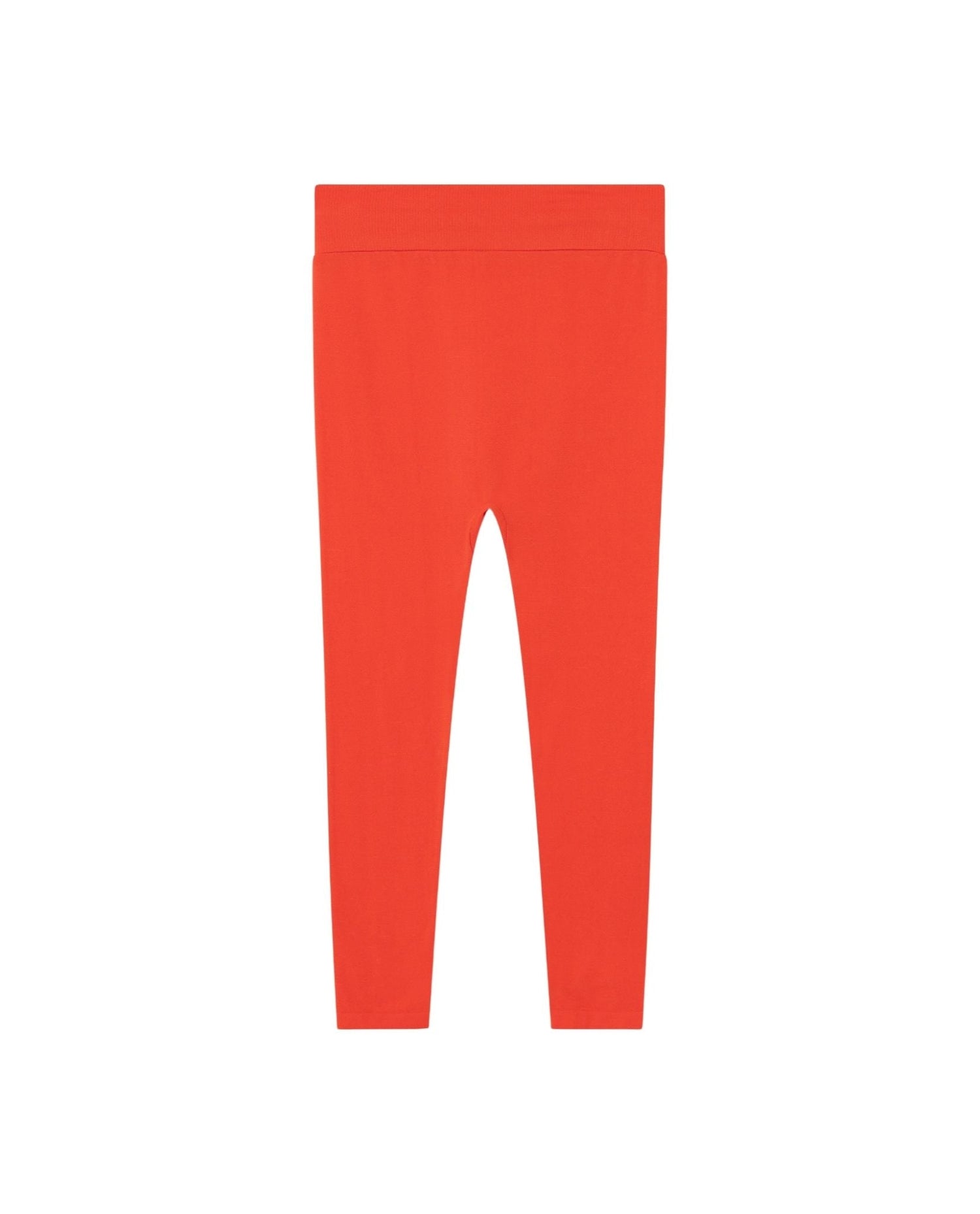 Alligator kids leggings Red Trousers The Animals Observatory 