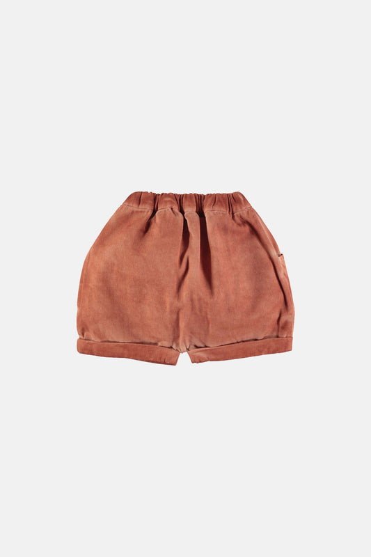 Washed tierra baby shorts Shorts Coco au lait 