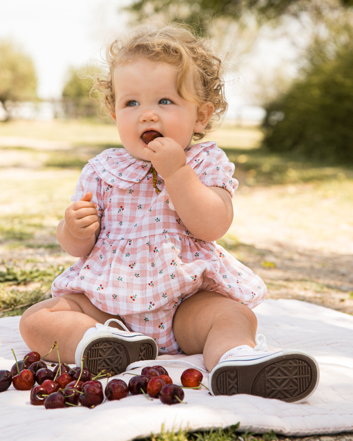 Elmo Romper Picnic Baby Grows Cosmosophie 