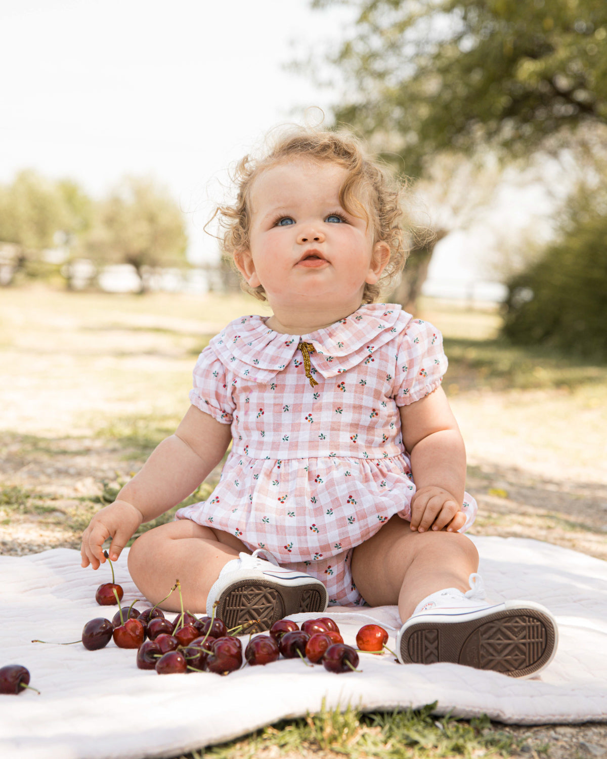 Elmo Romper Picnic Baby Grows Cosmosophie 