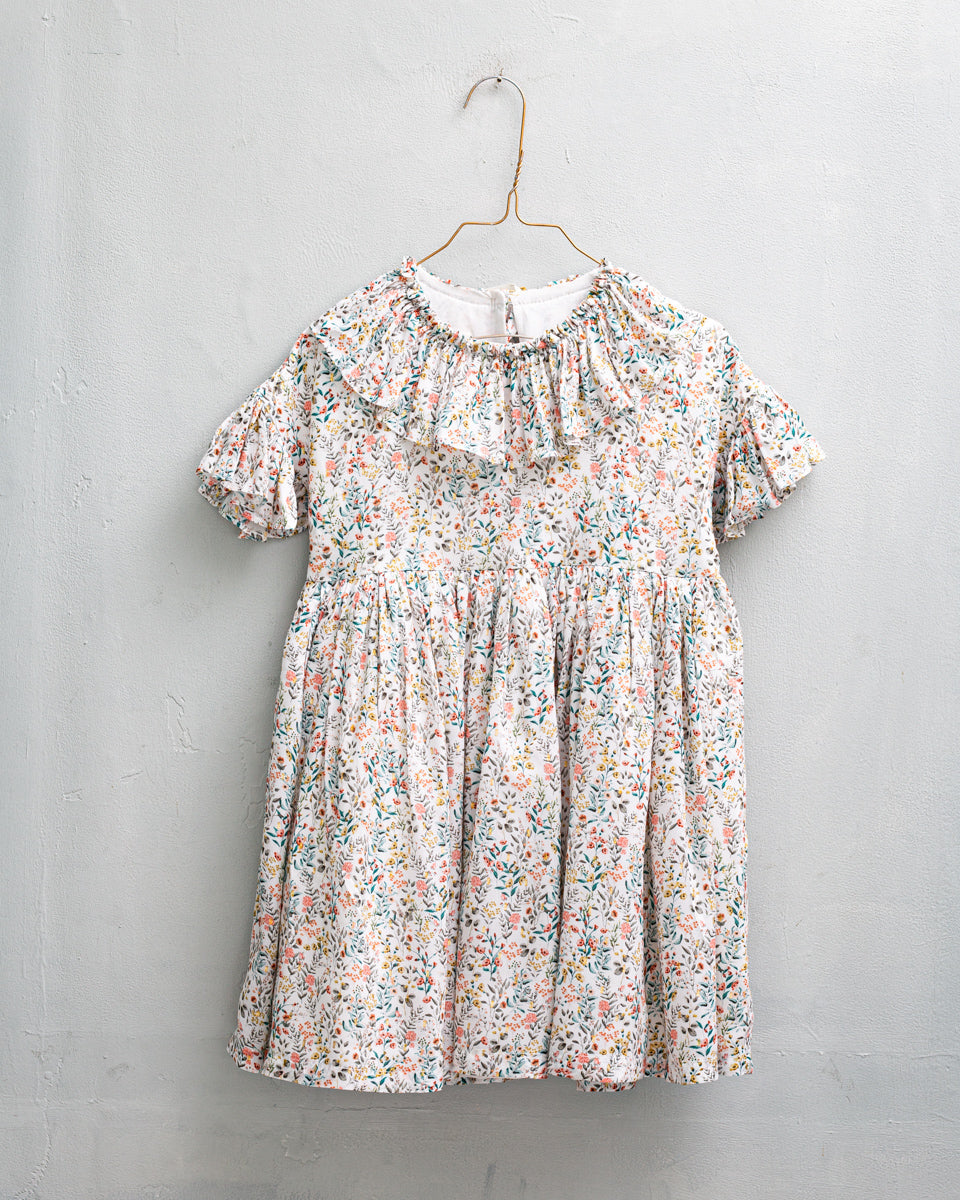 Pierrot Dress Garden Print Dresses Cosmosophie 